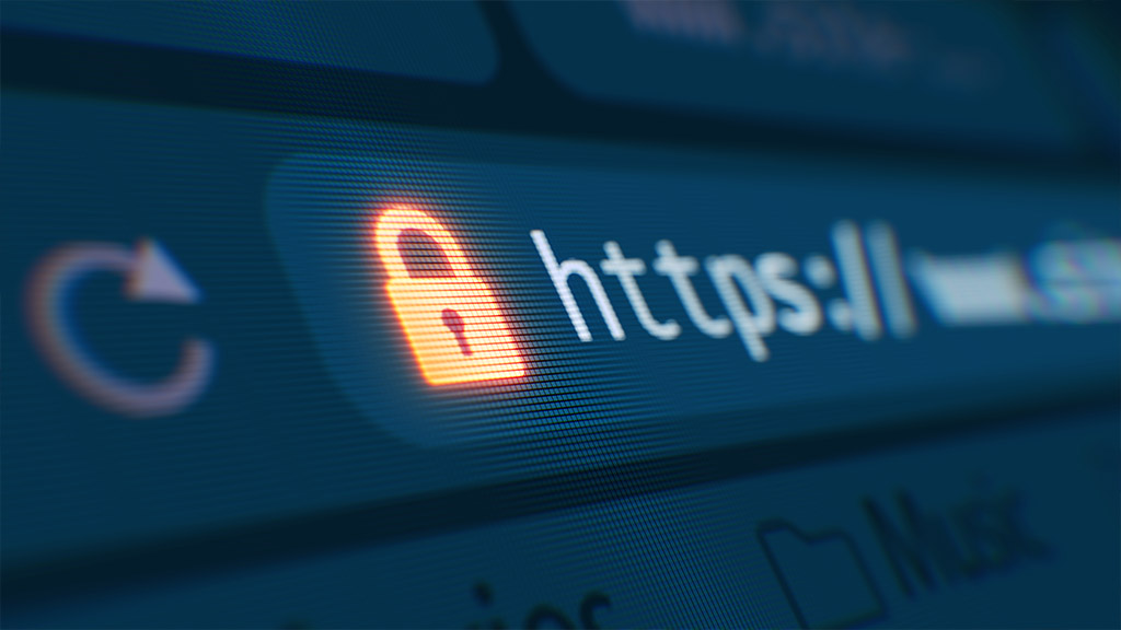 Close-up of a browser address bar showing a padlock icon and an https:// URL.